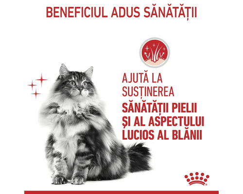 Pisică cu blană lungă, simbol pentru sănătatea pielii și blană lucioasă, Royal Canin Logo.