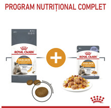 Program nutrițional complet pentru pisici cu hrană uscată și umedă Royal Canin Hair and Skin Care și Royal Canin Logo.
