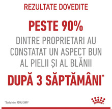 Rezultate dovedite. Peste 90 la suta dintre proprietari au observat un aspect bun al pielii si blanii dupa 3 saptamani. Royal Canin Logo.