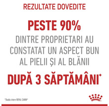 Peste 90 la sută dintre proprietari au observat un aspect bun al pielii și blănii după 3 săptămâni. Studiu intern Royal Canin.