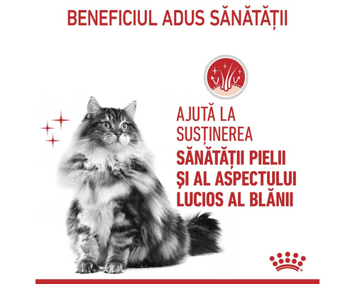 Pisică cu blană lungă, sigla Royal Canin și simbol pentru sănătatea pielii și strălucirea blănii.