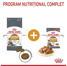 Combinație de hrană uscată și hrană umedă Royal Canin Hair and Skin Care pentru un program nutrițional complet pentru pisici.