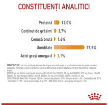 Constituenți: Proteină 12,0 la sută, Grăsimi 3,7 la sută, Cenușă 1,6 la sută, Umiditate 77,5 la sută, Omega-6 1,1 la sută. Royal Canin Logo.