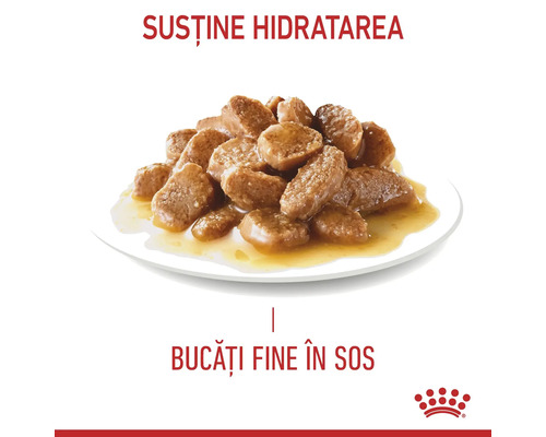 Hrană umedă cu bucăți fine în sos pe o farfurie. Susține hidratarea. Royal Canin Logo.