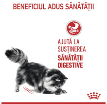 Logo Royal Canin. O pisică pufoasă care se întinde. Simbol pentru susținerea sănătății digestive.