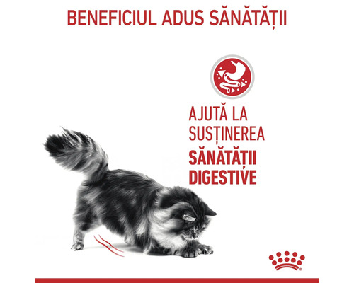 Logo Royal Canin. O pisică pufoasă care se întinde. Simbol pentru susținerea sănătății digestive.