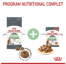 Program nutrițional Royal Canin Digestive Care cu hrană uscată și hrană umedă în sos pentru digestia pisicilor și Royal Canin Logo.