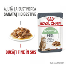 Royal Canin Logo, hrană umedă pentru pisici Royal Canin Digestive la plic, bucăți fine în sos pentru susținerea sănătății digestive.