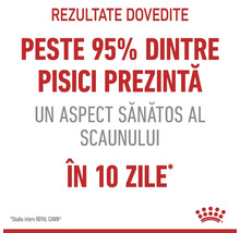 Rezultate dovedite. Peste 95 la sută dintre pisici au un aspect sănătos al scaunului în 10 zile conform studiului intern. Royal Canin Logo.