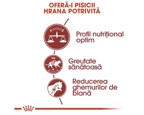 Beneficiile hranei pentru pisici: profil nutrițional optim, greutate sănătoasă și reducerea ghemurilor de blană. Logo Royal Canin.