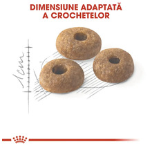 Trei boabe de hrană uscată pentru câini în formă de inel, cu o dimensiune de circa un centimetru. Royal Canin Logo.