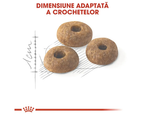 Trei boabe de hrană uscată pentru câini în formă de inel, cu o dimensiune de circa un centimetru. Royal Canin Logo.