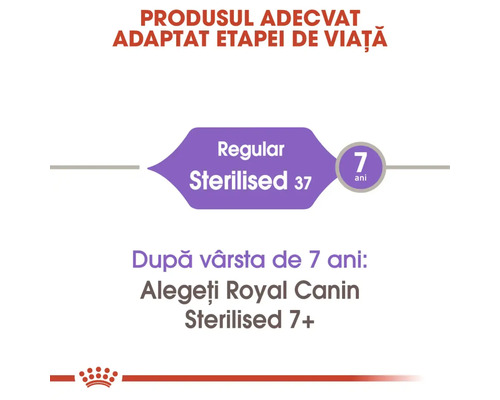 Infografic care arată trecerea de la Royal Canin Sterilised 37 la Sterilised 7 plus după vârsta de 7 ani. Logo Royal Canin.