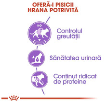 Infografic despre beneficiile hranei pentru pisici: controlul greutății, sănătatea urinară și conținut ridicat de proteine. Logo Royal Canin.