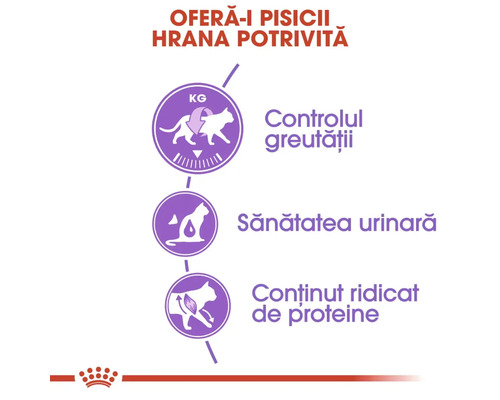 Infografic despre beneficiile hranei pentru pisici: controlul greutății, sănătatea urinară și conținut ridicat de proteine. Logo Royal Canin.
