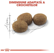 Dimensiune adaptată a crochetelor, aproximativ 1 centimetru, pentru hrana animalelor de companie. Royal Canin Logo.