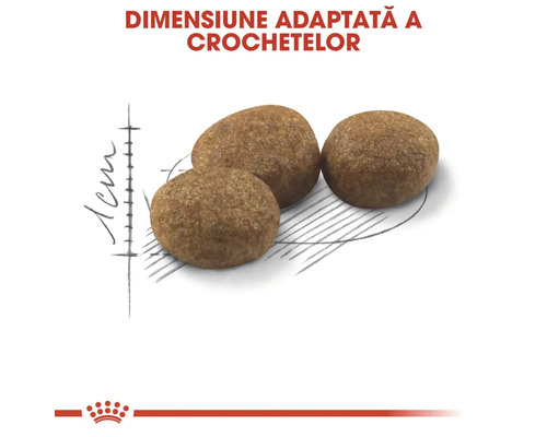 Dimensiune adaptată a crochetelor, aproximativ 1 centimetru, pentru hrana animalelor de companie. Royal Canin Logo.