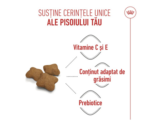 Royal Canin Logo, hrană uscată pentru pui de pisică cu vitaminele C și E, conținut adaptat de grăsimi și prebiotice.