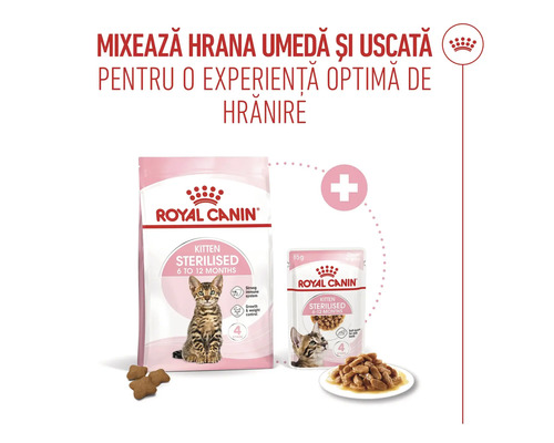 Mix de hrană uscată și umedă Royal Canin Kitten Sterilised pentru pui de pisică sterilizați cu vârsta între 6 și 12 luni. Royal Canin Logo.