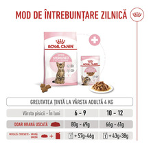 Royal Canin Logo. Ghid de hrănire Royal Canin Kitten Sterilised pentru pisici de 6 până la 12 luni cu o greutate țintă de 4 kilograme.