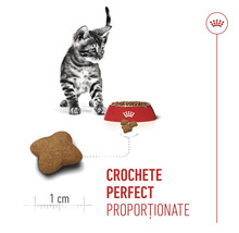 Pui de pisică lângă un bol cu mâncare și detaliu cu o crochetă în formă de stea de aproximativ 1 centimetru, Royal Canin Logo.