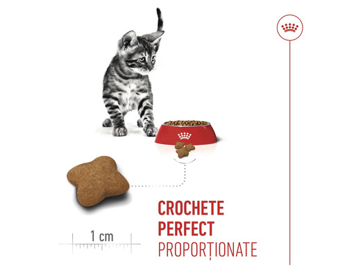 Pui de pisică lângă un bol cu mâncare și detaliu cu o crochetă în formă de stea de aproximativ 1 centimetru, Royal Canin Logo.