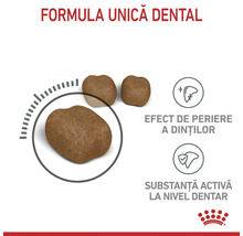 Royal Canin Logo. Hrană cu formulă dentară unică, efect de periere a dinților și substanțe active la nivel dentar. Vedere detaliată bobițe.