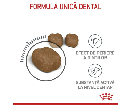 Royal Canin Logo. Hrană cu formulă dentară unică, efect de periere a dinților și substanțe active la nivel dentar. Vedere detaliată bobițe.