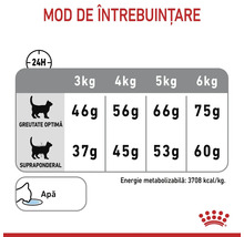 Ghid de hrănire pentru pisici cu doze zilnice în grame în funcție de greutatea și condiția fizică a pisicii. Royal Canin Logo.