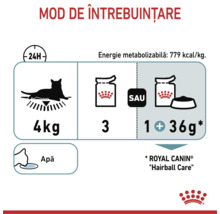 Ghid de hrănire Royal Canin Hairball Care pentru o pisică de 4 kilograme: 3 pliculețe pe zi sau 1 pliculeț plus 36 grame de hrană uscată.