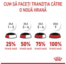 Infografic despre tranziția la o hrană nouă pentru animale în 7 zile: zilele 1 la 2 (25 la sută), 3 la 4 (50 la sută), 5 la 6 (75 la sută), ziua 7 (100 la sută). Royal Canin Logo.