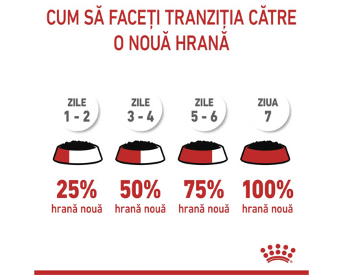 Infografic despre tranziția la o hrană nouă pentru animale în 7 zile: zilele 1 la 2 (25 la sută), 3 la 4 (50 la sută), 5 la 6 (75 la sută), ziua 7 (100 la sută). Royal Canin Logo.