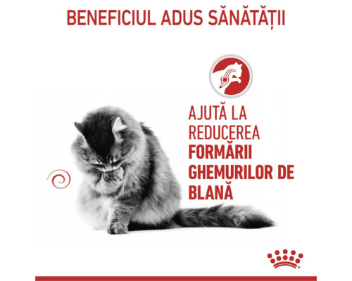 O pisică se curăță, hrana Royal Canin ajută la reducerea formării ghemurilor de blană, logoul Royal Canin.
