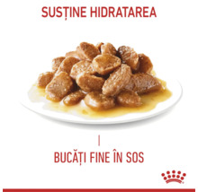Hrană umedă pentru pisici cu bucăți fine în sos pentru susținerea hidratării, Royal Canin Logo.