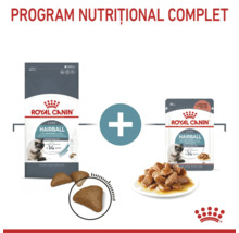 Set Royal Canin Hairball Care cu hrană uscată și umedă pentru pisici pentru reducerea ghemelor de blană.