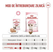 Ghid de hrănire Royal Canin Kitten, hrană umedă și uscată, pentru pisoi de 4 până la 8 luni cu o greutate țintă de 4 kg.