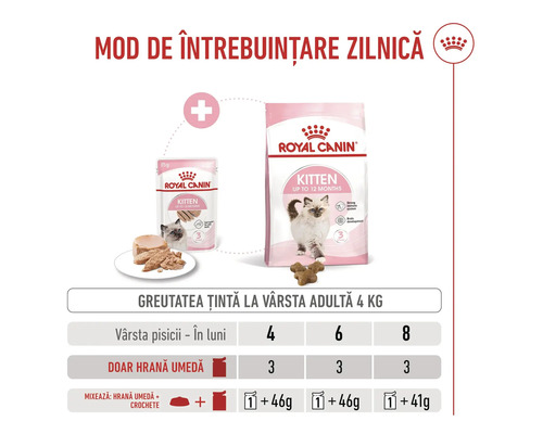 Ghid de hrănire Royal Canin Kitten, hrană umedă și uscată, pentru pisoi de 4 până la 8 luni cu o greutate țintă de 4 kg.