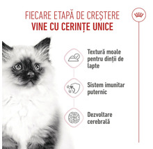 Royal Canin Logo, pui de pisică, beneficii: textură moale pentru dinții de lapte, susținerea sistemului imunitar și dezvoltare cerebrală.