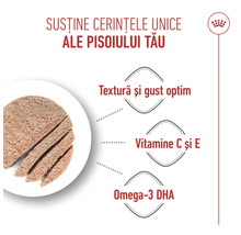 Logo Royal Canin, hrană umedă feliată pentru pisoi, textură și gust optim, vitaminele C și E și omega-3.