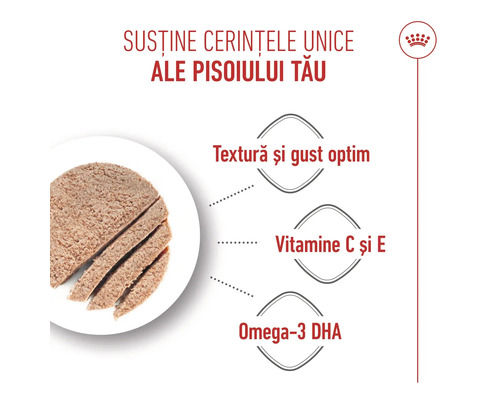 Logo Royal Canin, hrană umedă feliată pentru pisoi, textură și gust optim, vitaminele C și E și omega-3.