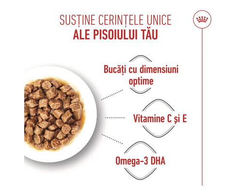 Hrană umedă pentru pisoi cu dimensiune optimă a bucăților, vitaminele C și E și omega-3 DHA. Royal Canin Logo.