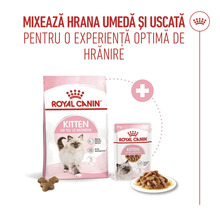 Hrană uscată și umedă Royal Canin Kitten pentru hrănire mixtă a puilor de pisică de până la 12 luni.