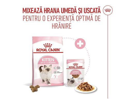 Hrană uscată și umedă Royal Canin Kitten pentru hrănire mixtă a puilor de pisică de până la 12 luni.