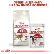 Pachet de hrană uscată Royal Canin Fit 32 și pliculeț de hrană umedă Royal Canin Instinctive pentru pisici adulte.