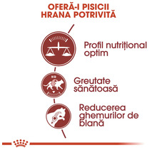 Profil nutrițional optim, greutate sănătoasă și reducerea ghemurilor de blană. Logo Royal Canin.