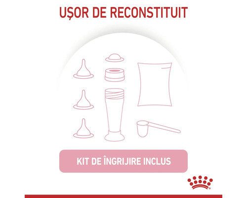 Kit de hrănire pentru animale cu biberon, trei tetine, lingură dozatoare și plic, ușor de reconstituit, set de îngrijire inclus. Logo Royal Canin.