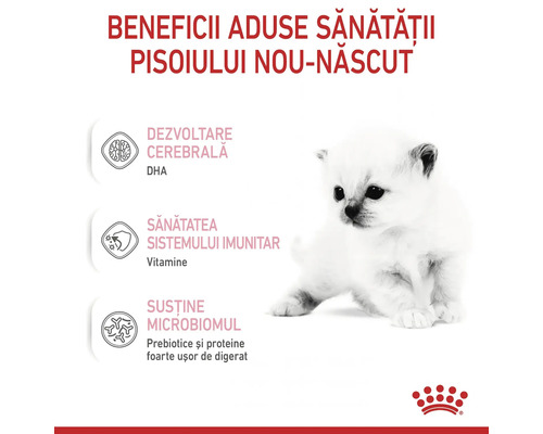 Infografic: beneficii pentru sănătatea puiului de pisică: dezvoltare cerebrală, sistem imunitar și susținere microbiom. Royal Canin Logo.