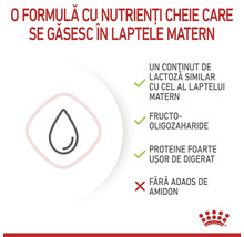 Nutrienți formulă lapte: conținut lactoză similar laptelui matern, fructo-oligozaharide, proteine ușor de digerat, fără amidon. Royal Canin Logo.
