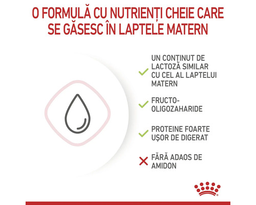 Nutrienți formulă lapte: conținut lactoză similar laptelui matern, fructo-oligozaharide, proteine ușor de digerat, fără amidon. Royal Canin Logo.