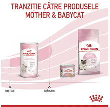 Tranziția de la lapte Royal Canin Babycat de la naștere la hrana umedă și uscată Mother și Babycat pentru pisoi de la unu la patru luni.